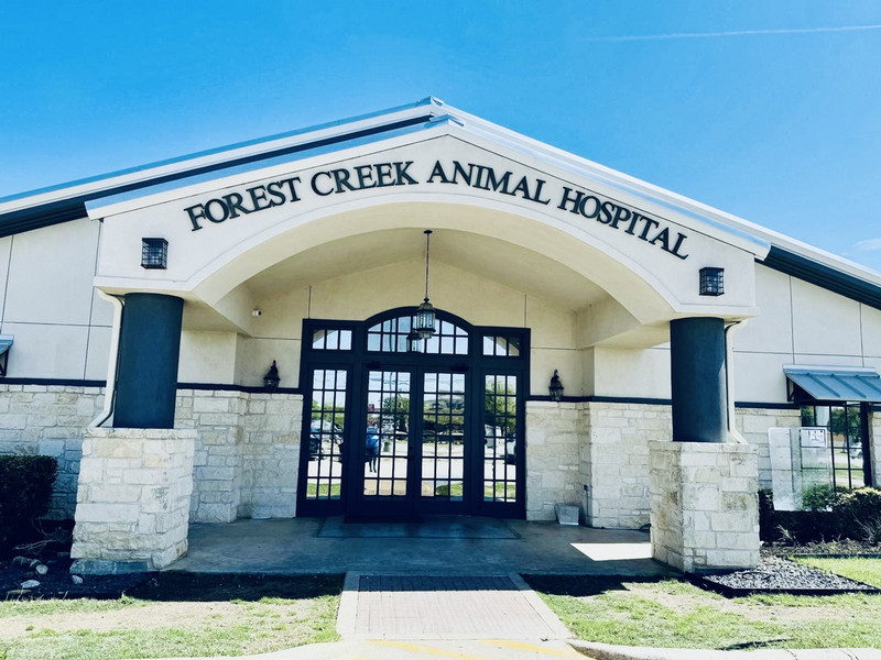 Forest Creek Animal Hospital in Round Rock, TX